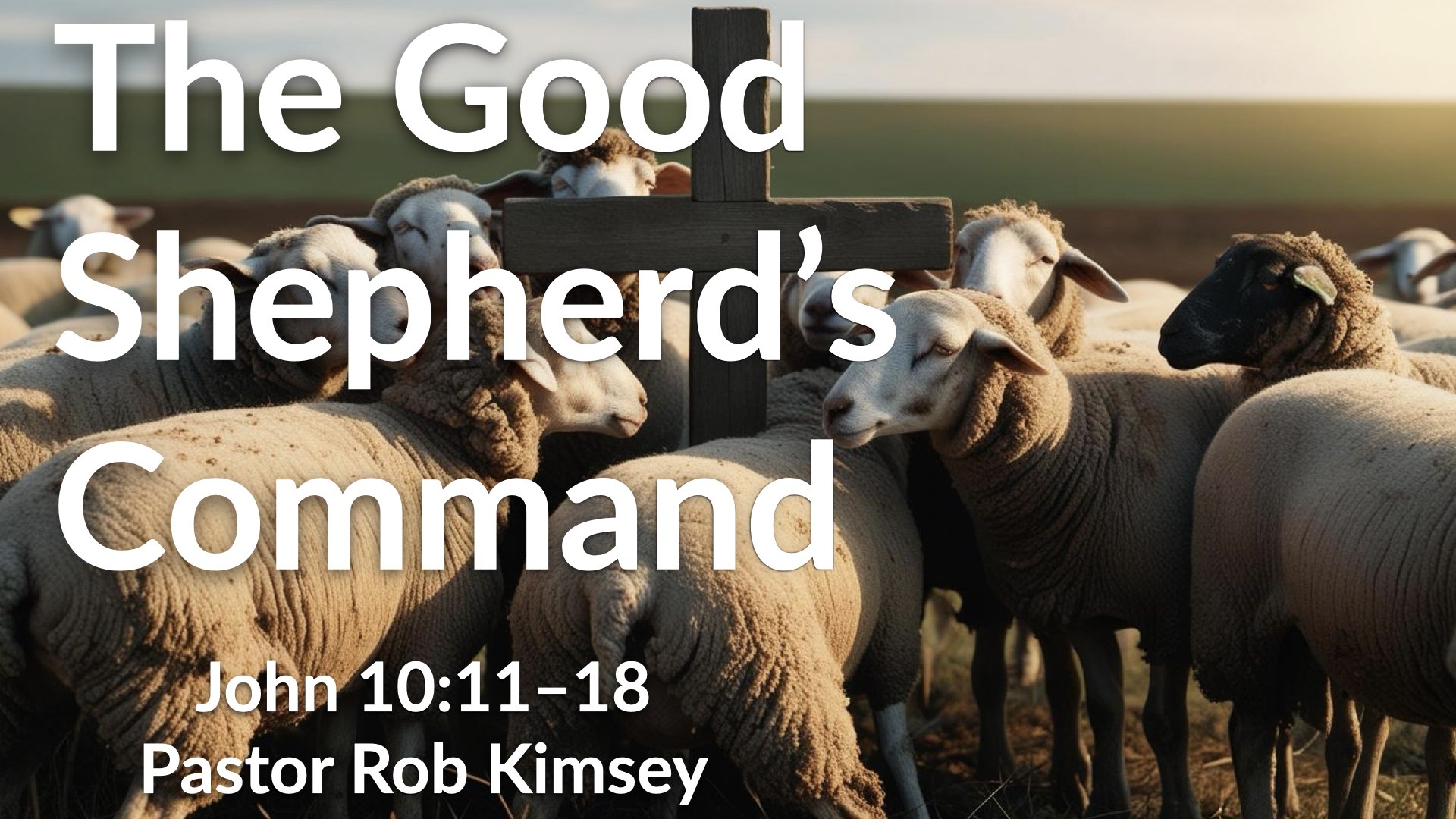 The Good Shepherd’s Command